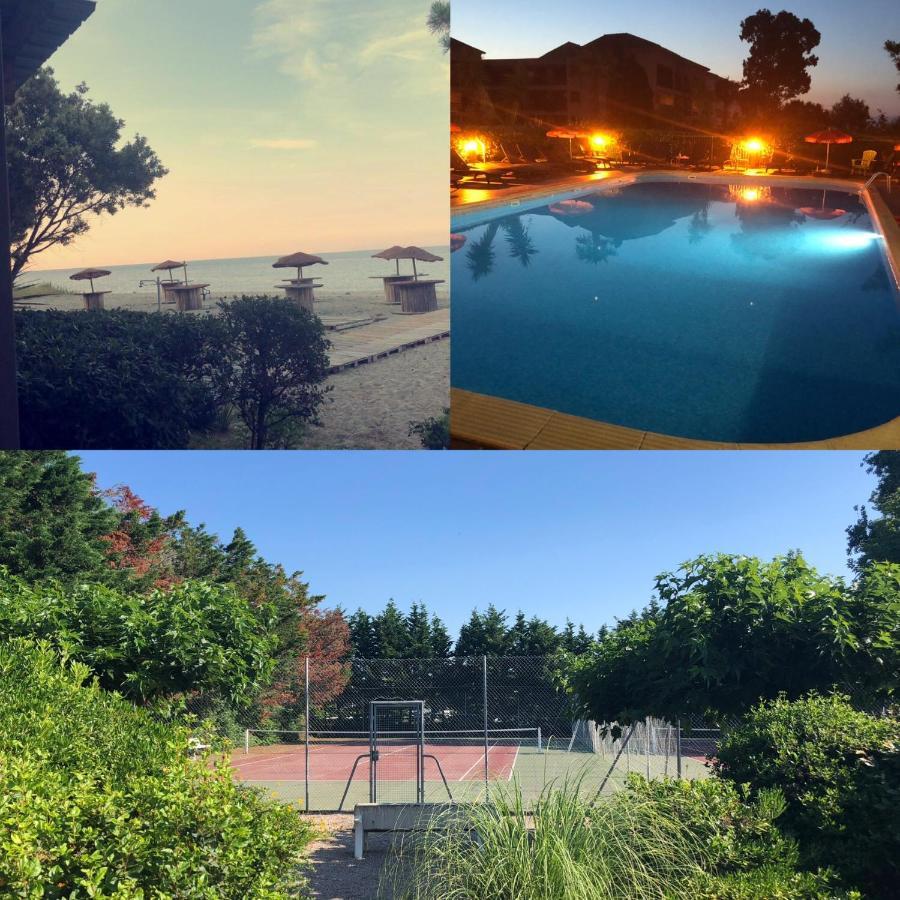 Joli T2 Les Pieds Dans L'Eau , Piscine Tennis.... San-Nicolao Luaran gambar